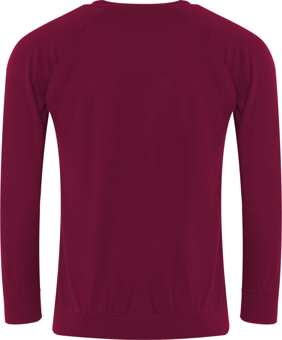 Chesterton School Sweatshirt - Image 2